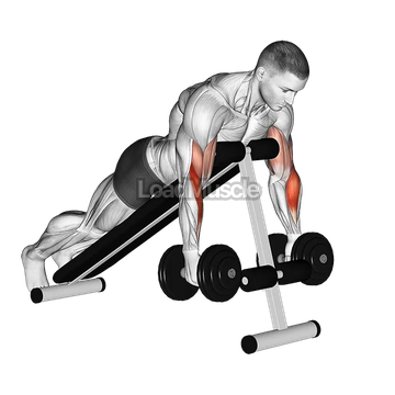 Dumbbell Prone Incline Hammer Curl