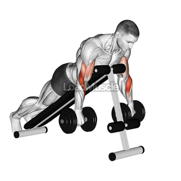 Dumbbell Reverse Spider Curl