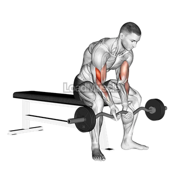 EZ Bar Seated Close Grip Concentration Curl