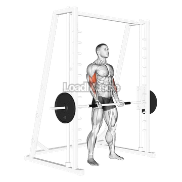 Smith Machine Bicep Curl