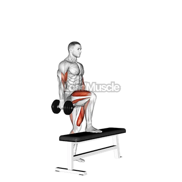 Dumbbell Step Up Single Leg Balance with Bicep Curl