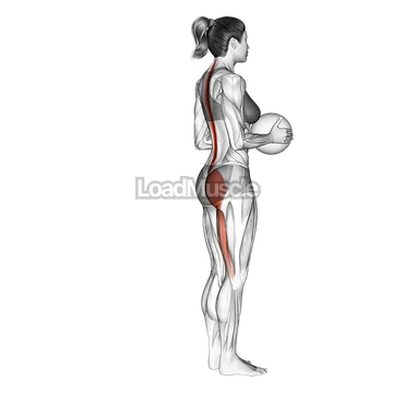 Medicine Ball Single Leg Deadlift