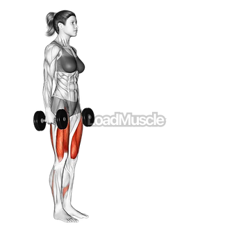 Transverse Plane Dumbbell Lunge