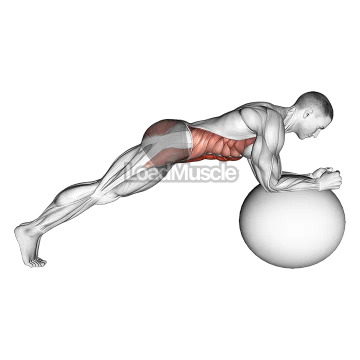 Stability Ball Front Plank