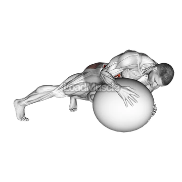 Prone Twist On Stability Ball