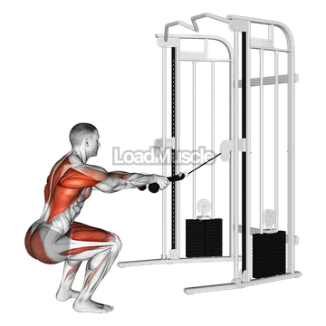 Cable Squat Row (with rope attachment)