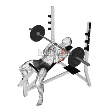Barbell Incline Close Grip Bench Press