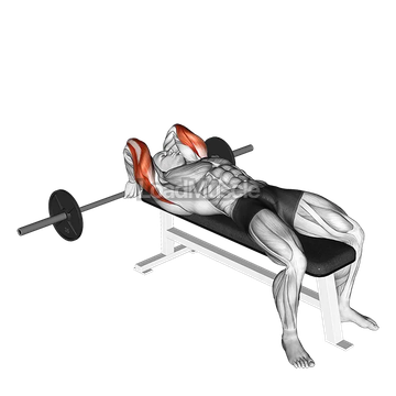 Barbell Lying Back of the Head Tricep Extension