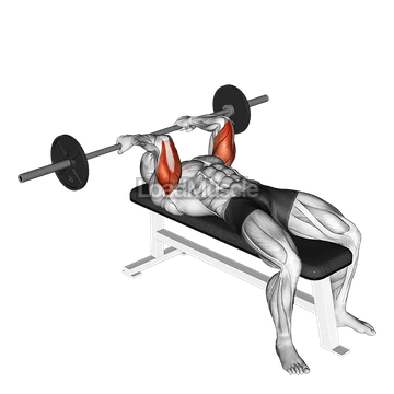 Barbell Reverse Grip Skullcrusher