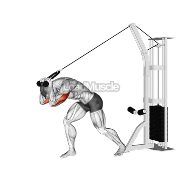 Cable Rope High Pulley Overhead Tricep Extension