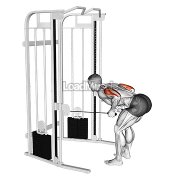 Cable Two Arm Tricep Kickback