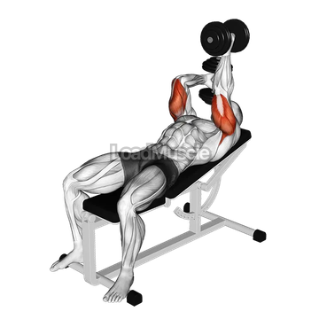 Dumbbell Lying Alternate Extension