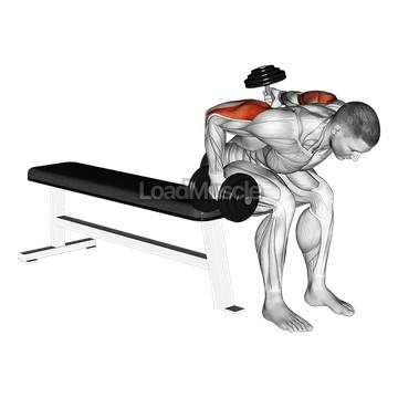 Dumbbell Seated Bent Over Alternate Kickback