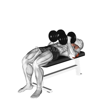 Dumbbell Close Grip Press