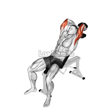 Dumbbell Incline Two Arm Extension