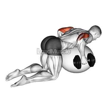 Dumbbell Kickbacks on Exercise Ball