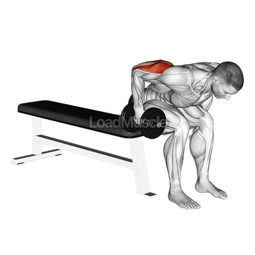 Dumbbell Seated Bent Over Triceps Extension