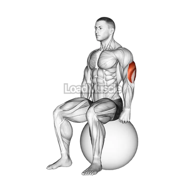 Exercise Ball Seated Triceps Stretch