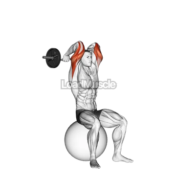 EZ Bar French Press on Exercise Ball