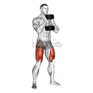 Dumbbell Goblet Squat