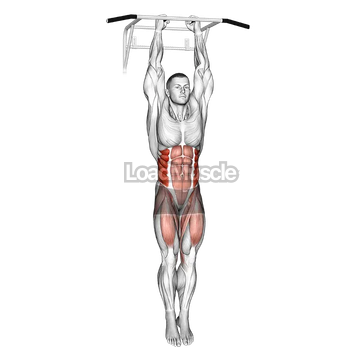 Hanging Oblique Knee Raise