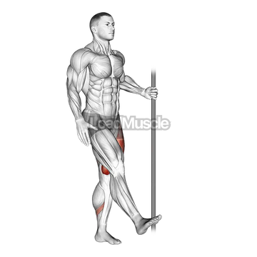 Single Leg Squat with Support (pistol)