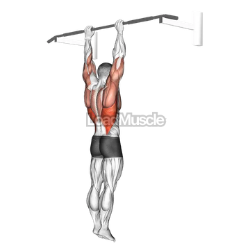 Shoulder Grip Pull-up