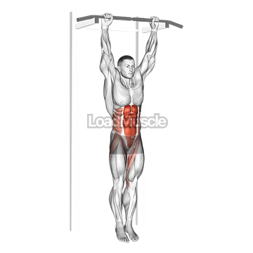 Hanging Leg Hip Raise