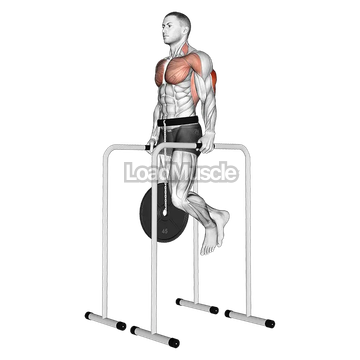 Weighted Triceps Dip on High Parallel Bars