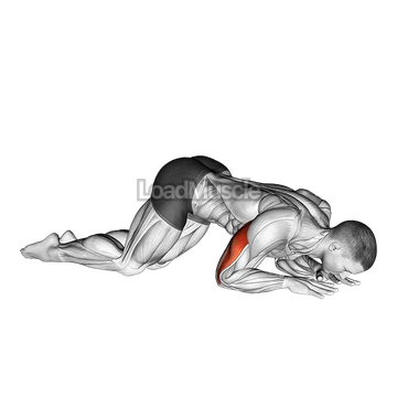Bodyweight Kneeling Triceps Extension