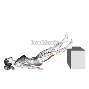 Lying Single Straight Leg Hip Extension