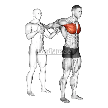 Assisted Standing Chest Stretch