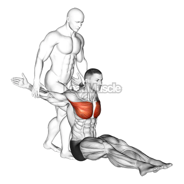 Assisted Seated Chest Stretch