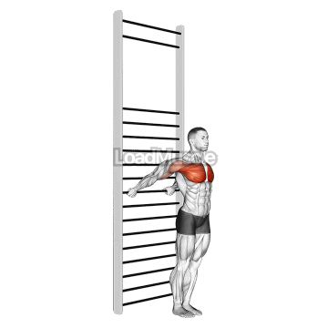Standing Chest Stretch (with Training Wall Bars)