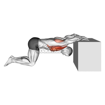Kneeling Chest Stretch
