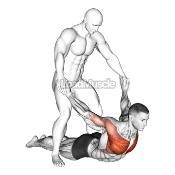 Assisted Pulling Arms in Prone Position Chest Stretch
