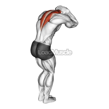 Trap and Neck Stretch