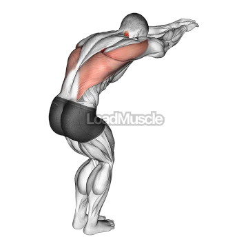 Reach forward upper back stretch