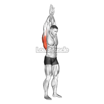 Reach up back stretch