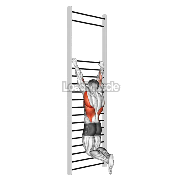 Two handed hang back stretch (with Training Wall Bars)