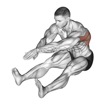 Sitting Bent Over Back Stretch