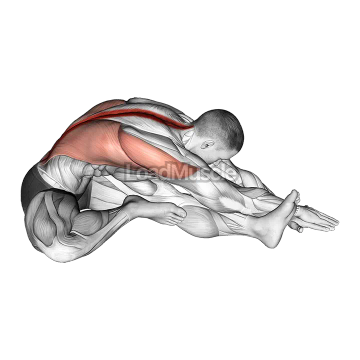 Sitting Side Reach Stretch