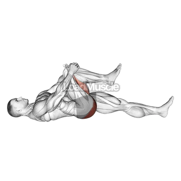 Lying Knee To Chest Stretch