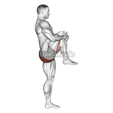 Standing Knee To Chest Stretch