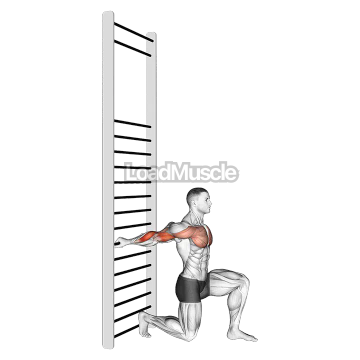 Arms Stretch On A Support