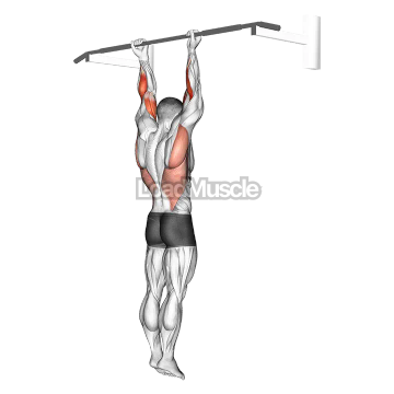 Supination Bar Suspension Stretch