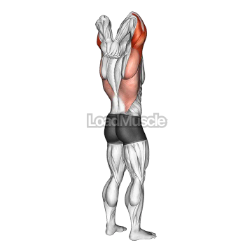 Reaching Down Triceps Stretch