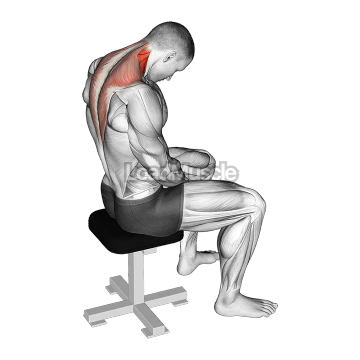 Sitting Neck Flexion Stretch