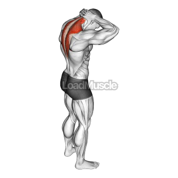 Neck Extensor Stretch