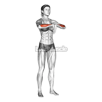 Wrist Extensor Stretch